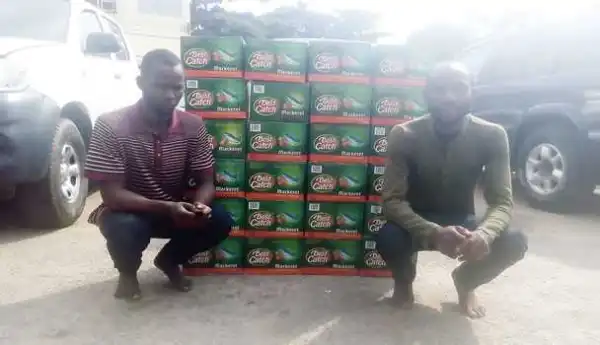 Varsity dropouts steal 1,730 cartons of fish, buy cars